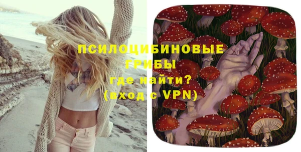 гидра Заволжск