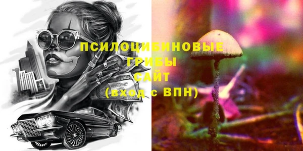 гидра Заволжск
