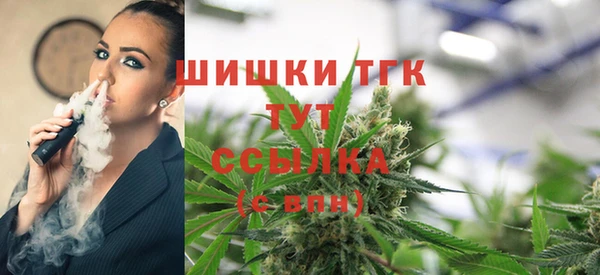 гидра Заволжск
